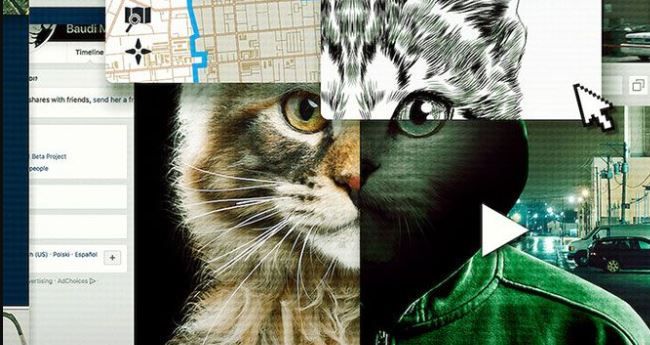 Tráiler de  "A los gatos, ni tocarlos- Un asesino en Internet", la angustiosa docuserie de Netflix