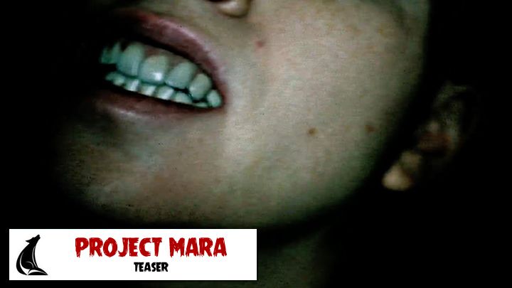Ninja Theory se pasa al terror con "Project Mara"