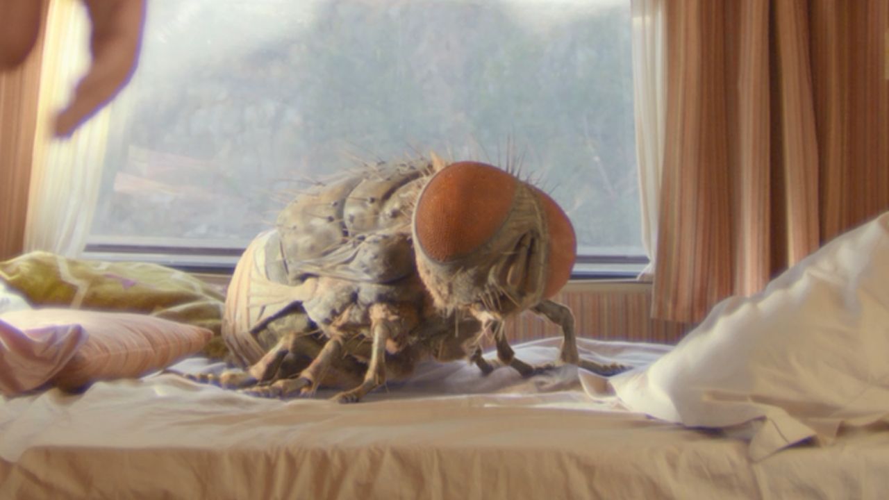 Crítica de "Mandíbulas", la verdadera comedia francesa del año (con mosca gigante)