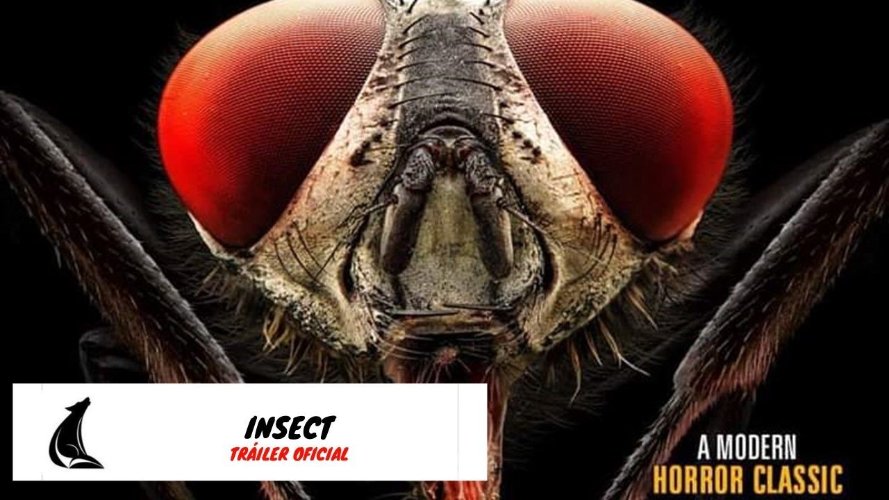 Tráiler oficial de "Insect", lo nuevo de The Asylum