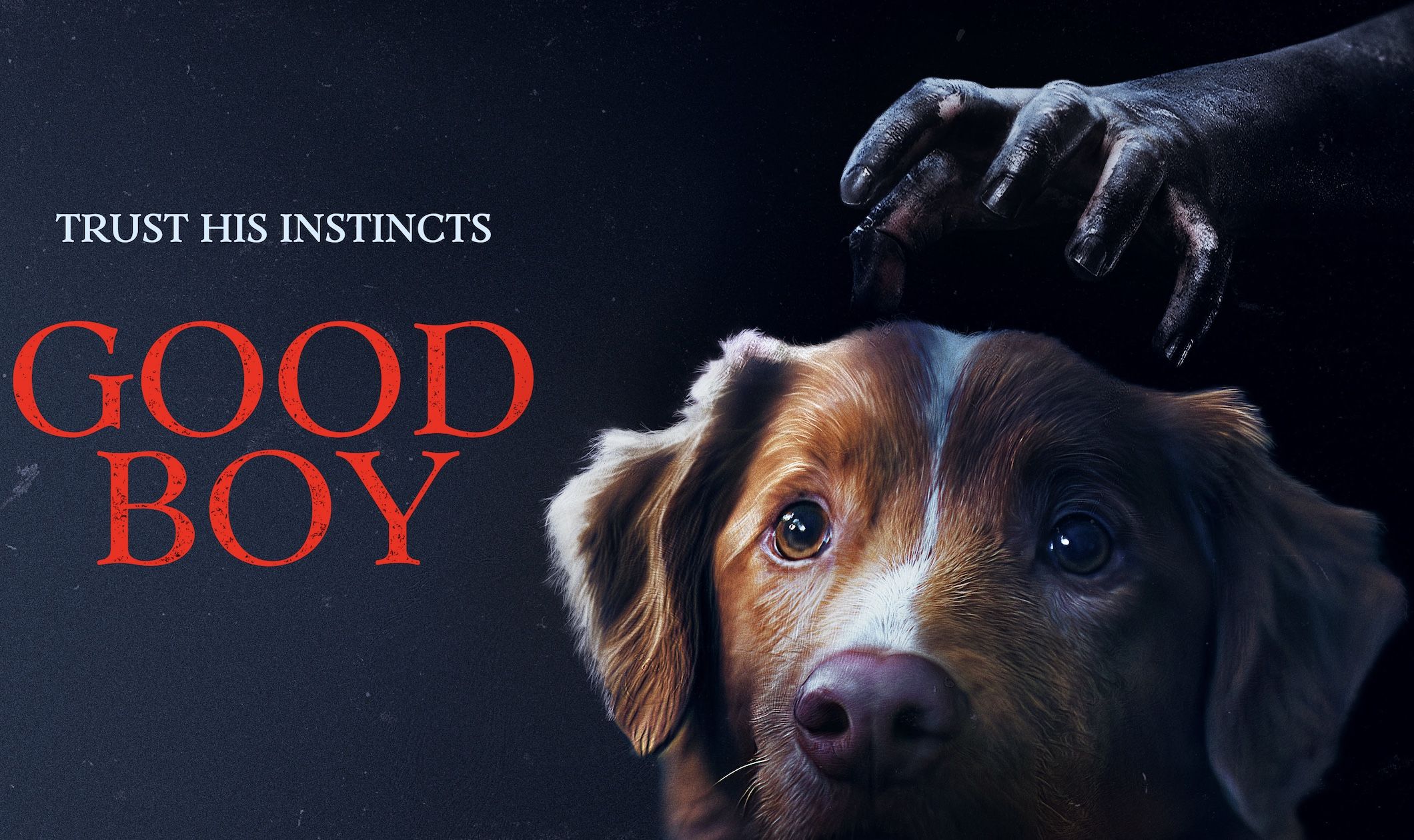 "Good Boy" es el tercer mejor estreno de la historia de Shudder/IFC