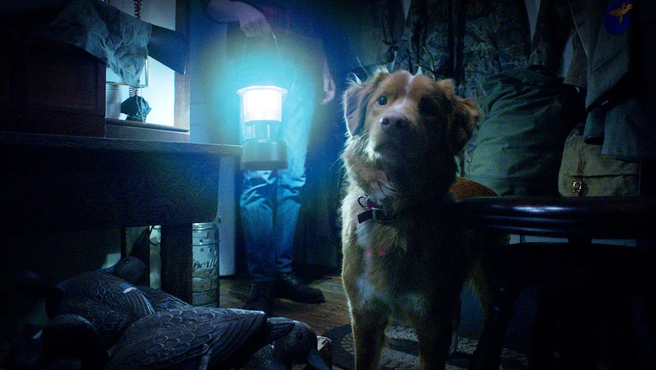 Good Boy: Crítica de la Película