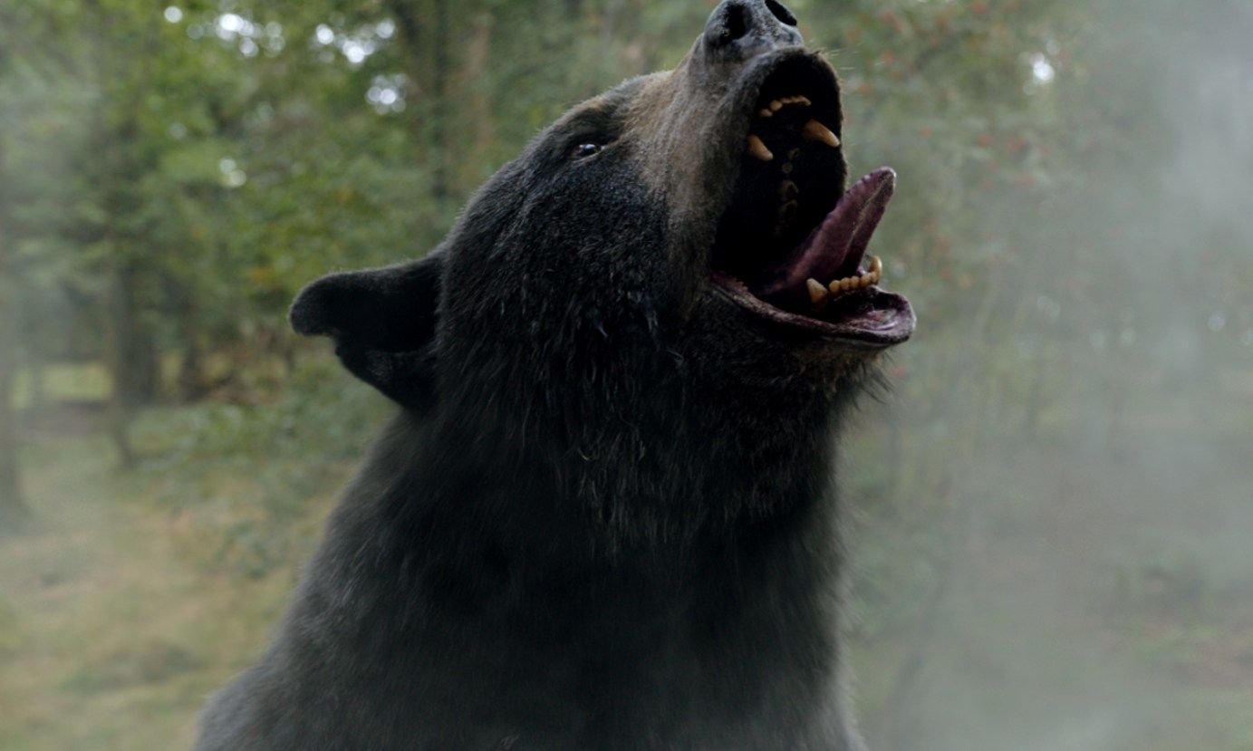 Oso Vicioso llega a Netflix. Crítica de la película de Elizabeth Banks