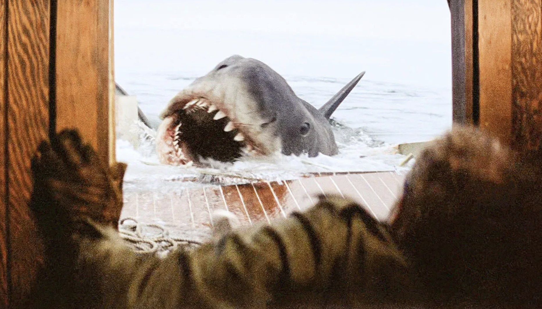 Películas de Tiburones: La Guía Definitiva