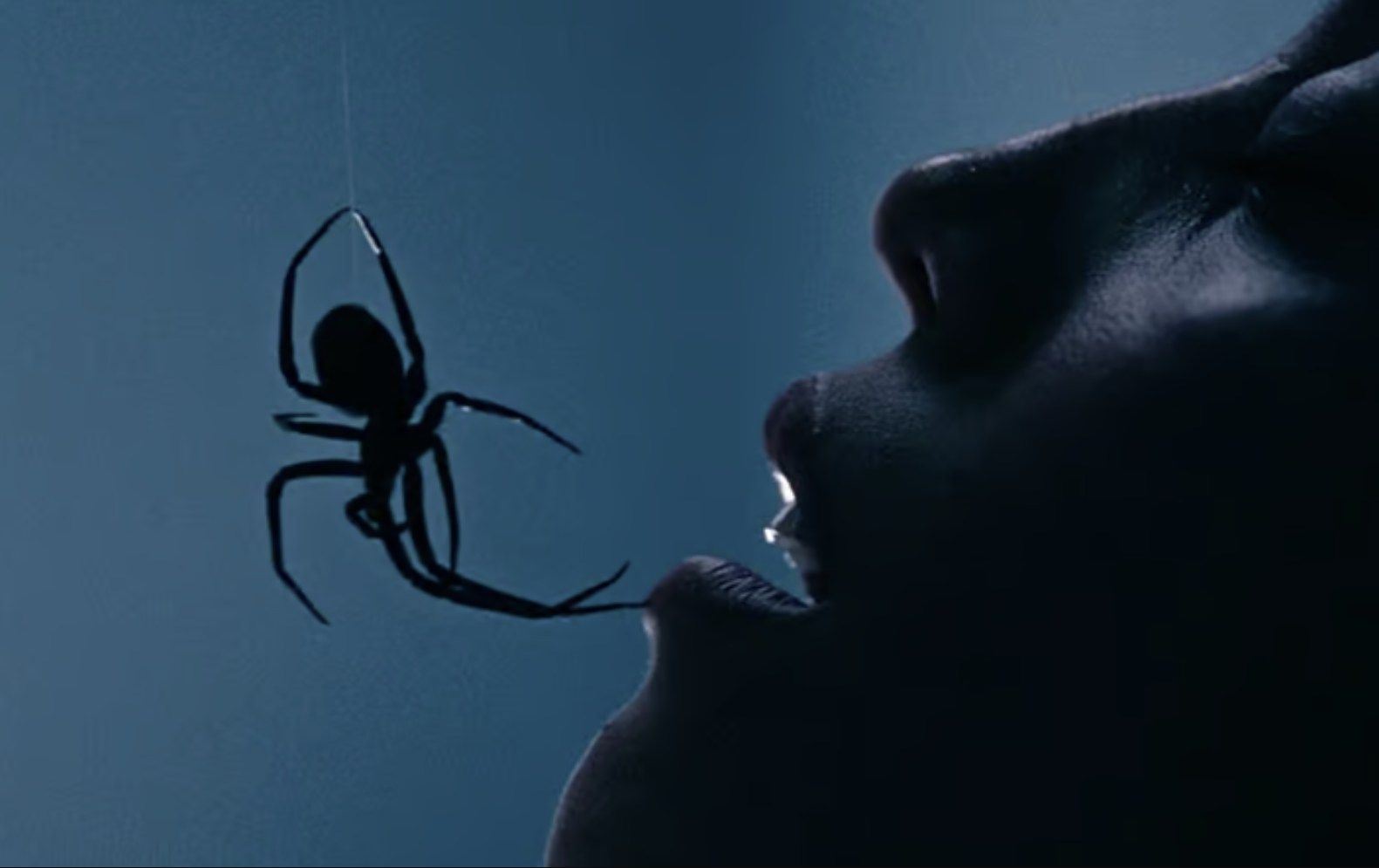 Arañas y Matilda Lutz en el trailer de "Crawlers"