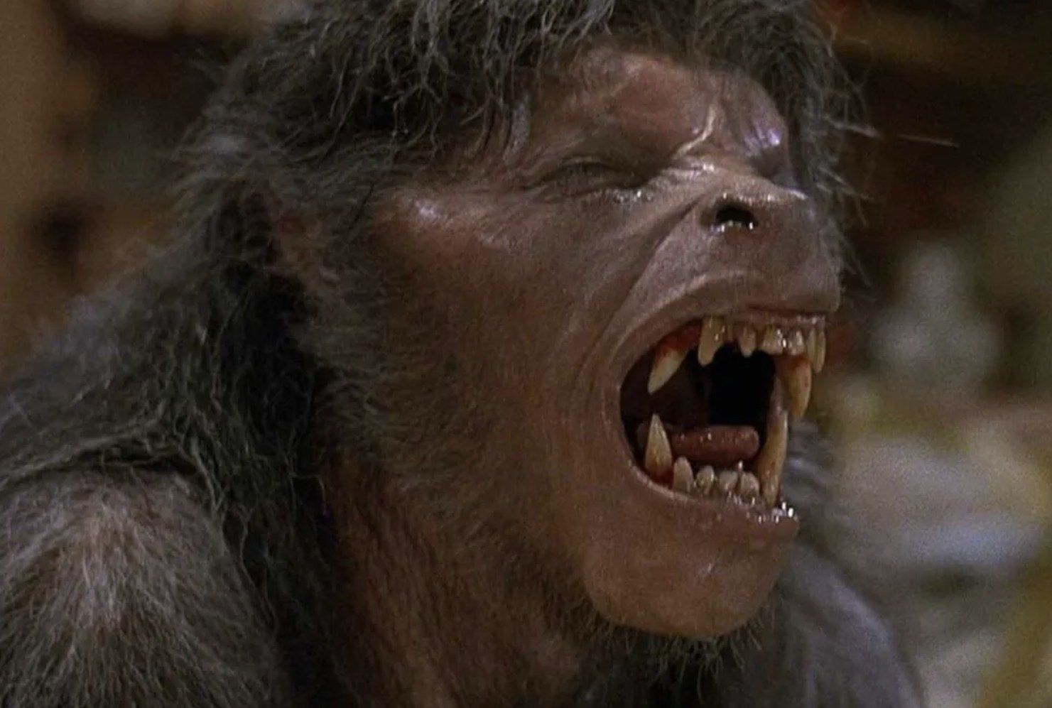 Se cumplen 45 años de la mejor transformación de un hombre lobo en la historia del cine
