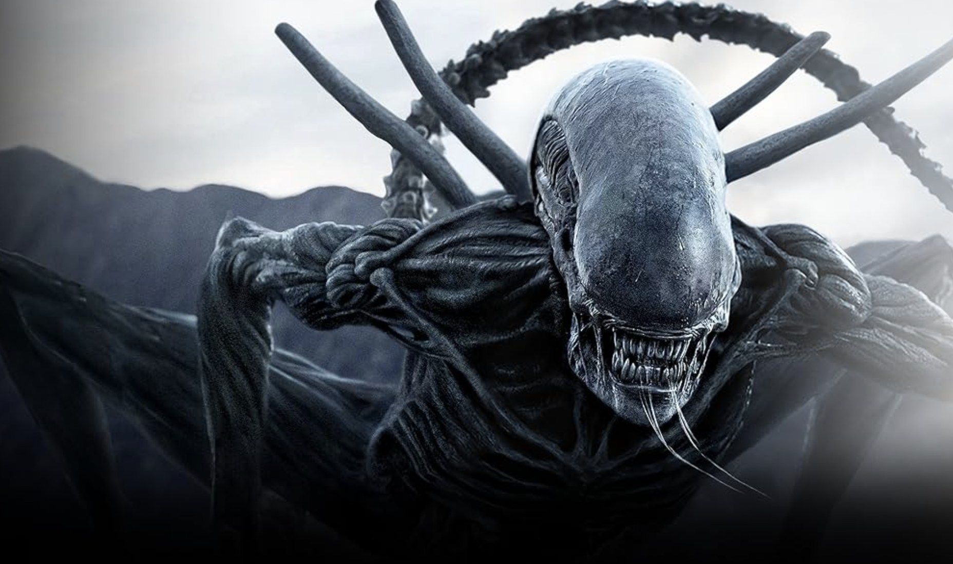 Ridley Scott afirma que trabaja en la continuación de "Alien Covenant" con Michael Fassbender