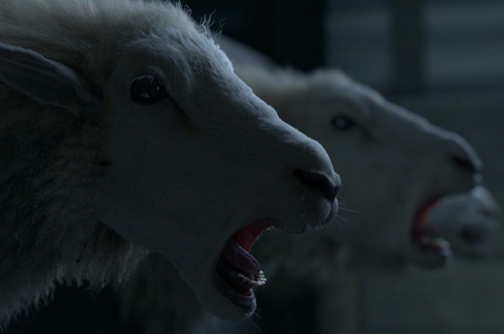 Black Sheeps: Nuevas imágenes oficiales del regreso de las ovejas asesinas