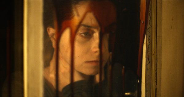 Imagen 1 de Shelley