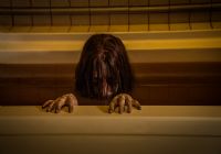 Imagen de La Maldición (The Grudge) - 9