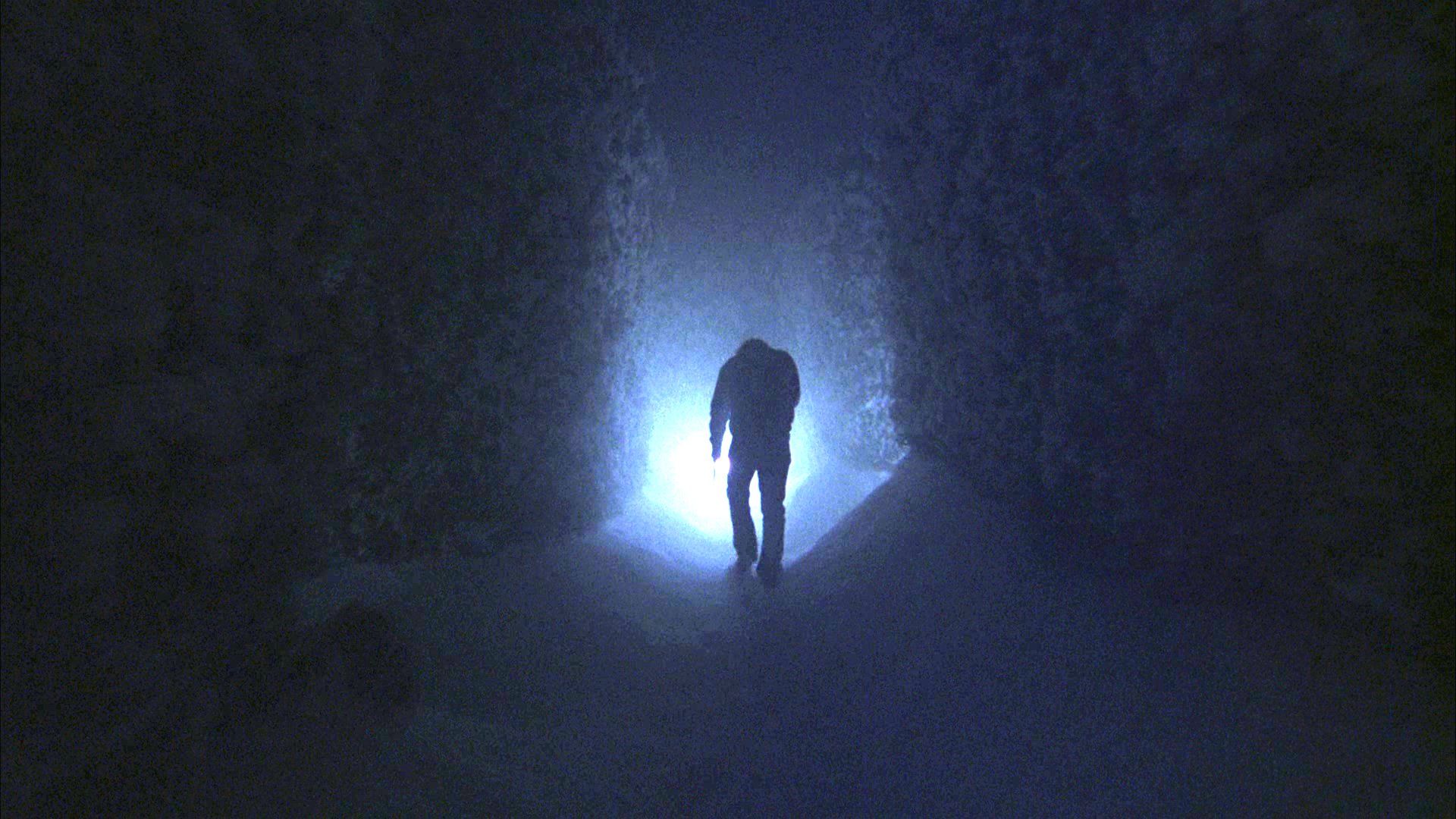 10 Películas de Terror Bajo la Nieve 